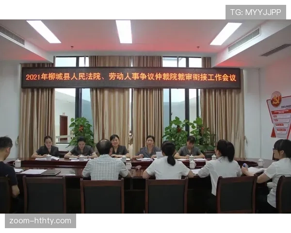 判罚争议中的裁判判定标准及其影响分析
